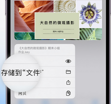 红旗apple维修中心分享iPhone文件应用中存储和找到下载文件