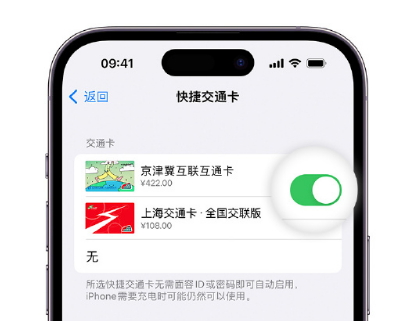 红旗apple维修点分享iPhone上更换Apple Pay快捷交通卡手绘卡面 