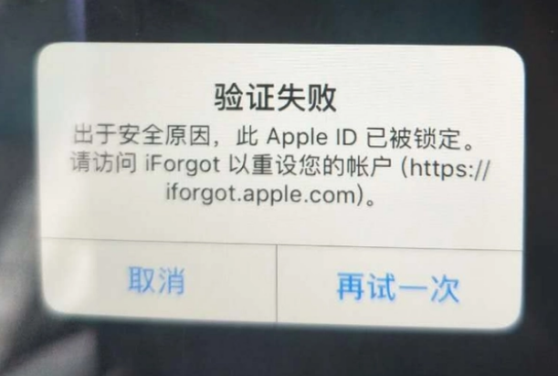 红旗iPhone维修分享iPhone上正常登录或使用AppleID怎么办 