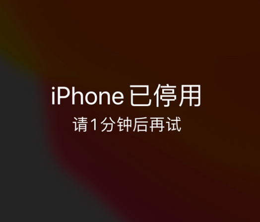 红旗苹果手机维修分享:iPhone 显示“不可用”或“已停用”怎么办？还能保留数据吗？ 