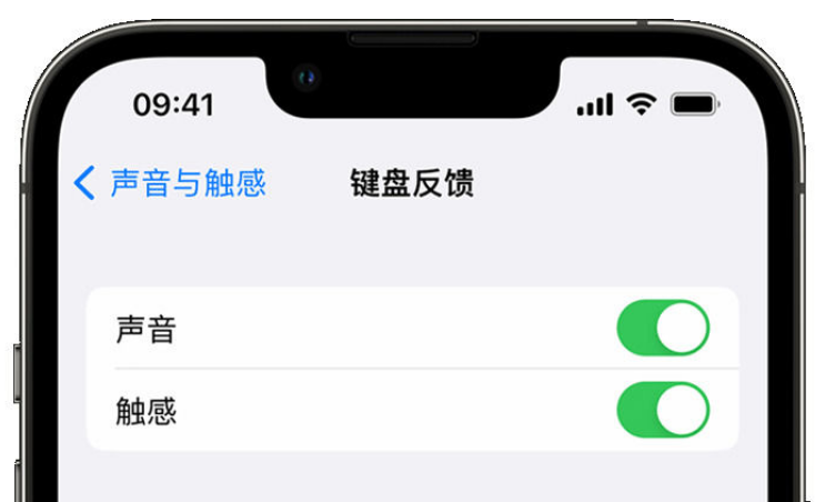 红旗苹果手机维修分享iPhone 14触感键盘使用方法 