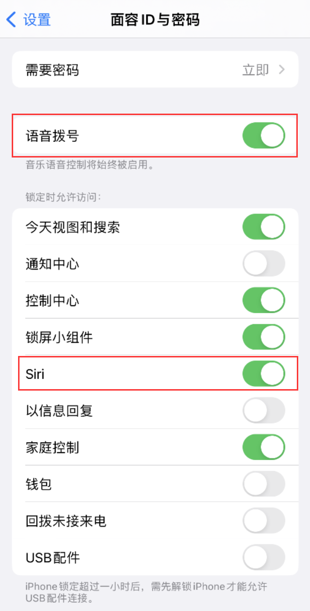 红旗苹果维修网点分享不解锁 iPhone 的情况下通过 Siri 拨打电话的方法 