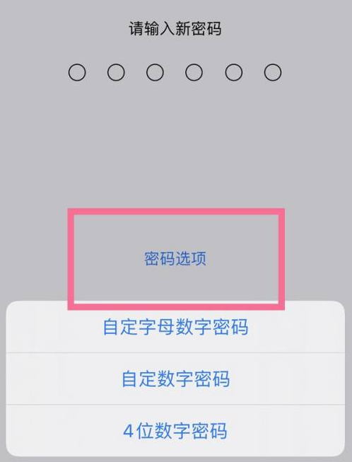 红旗苹果14维修分享iPhone 14plus设置密码的方法 