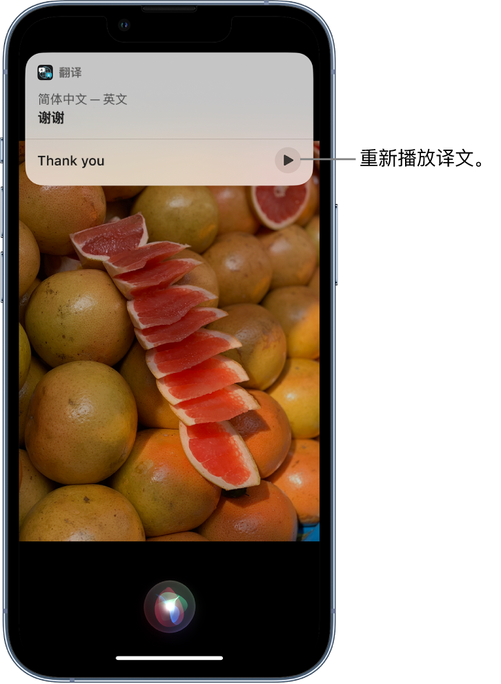 红旗苹果14维修分享 iPhone 14 机型中使用 Siri：了解 Siri 能帮你做什么 