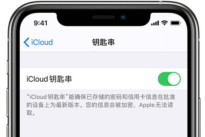 红旗苹果手机维修分享在 iPhone 上开启 iCloud 钥匙串之后会储存哪些信息 