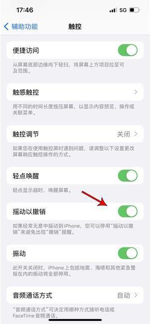 红旗苹果手机维修分享iPhone手机如何设置摇一摇删除文字 