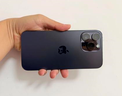 红旗苹果维修点分享iPhone 14 Pro Max发烫多重诱因剖析 